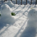 大雪でしたね