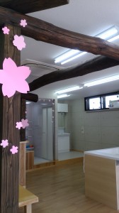 店内装飾・桜
